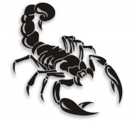 Рогейн Scorpions Рогейн Scorpions